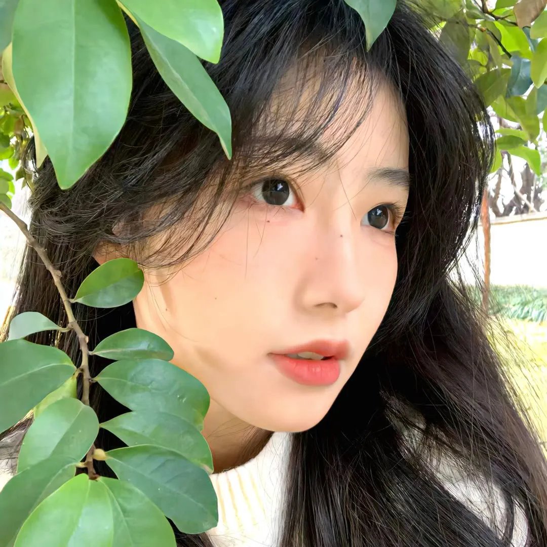 华丽的挑战